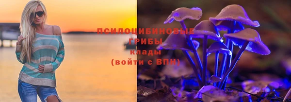 первитин Михайлов
