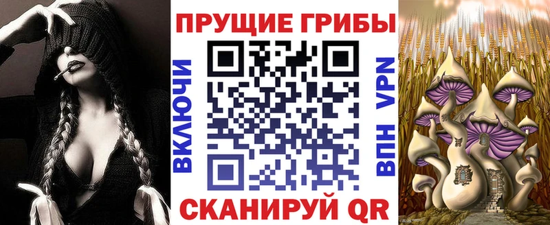 купить   Карпинск  Галлюциногенные грибы мухоморы 