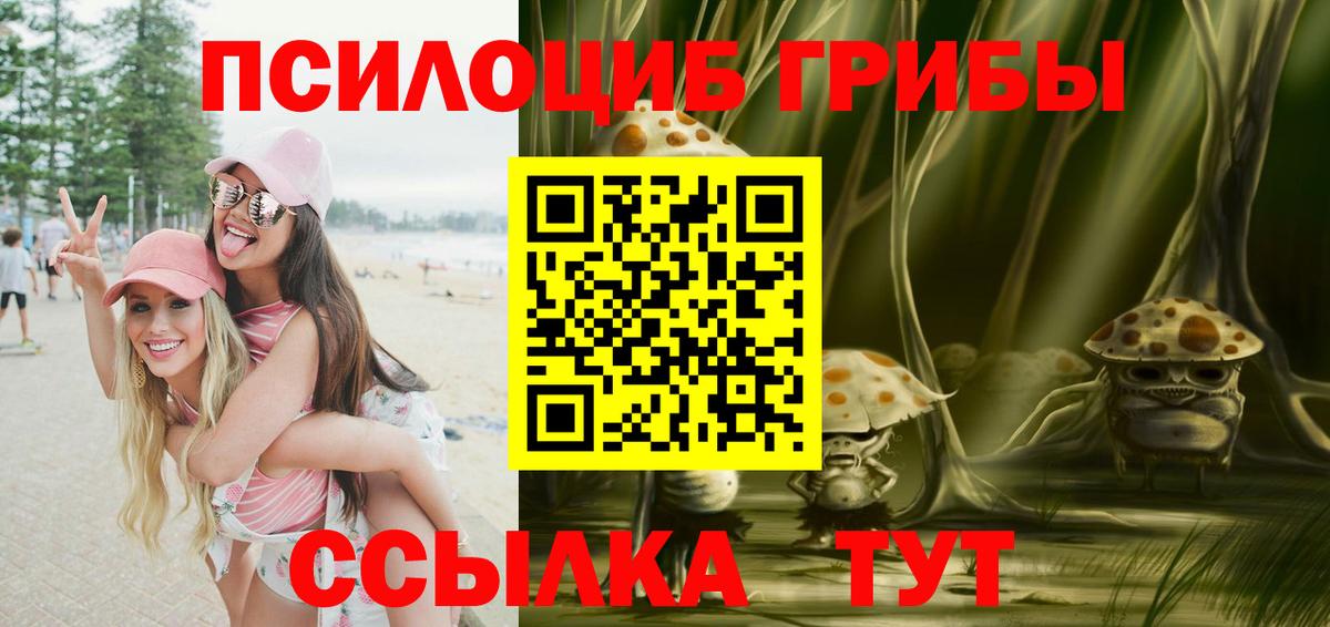 Галлюциногенные грибы мицелий Карпинск